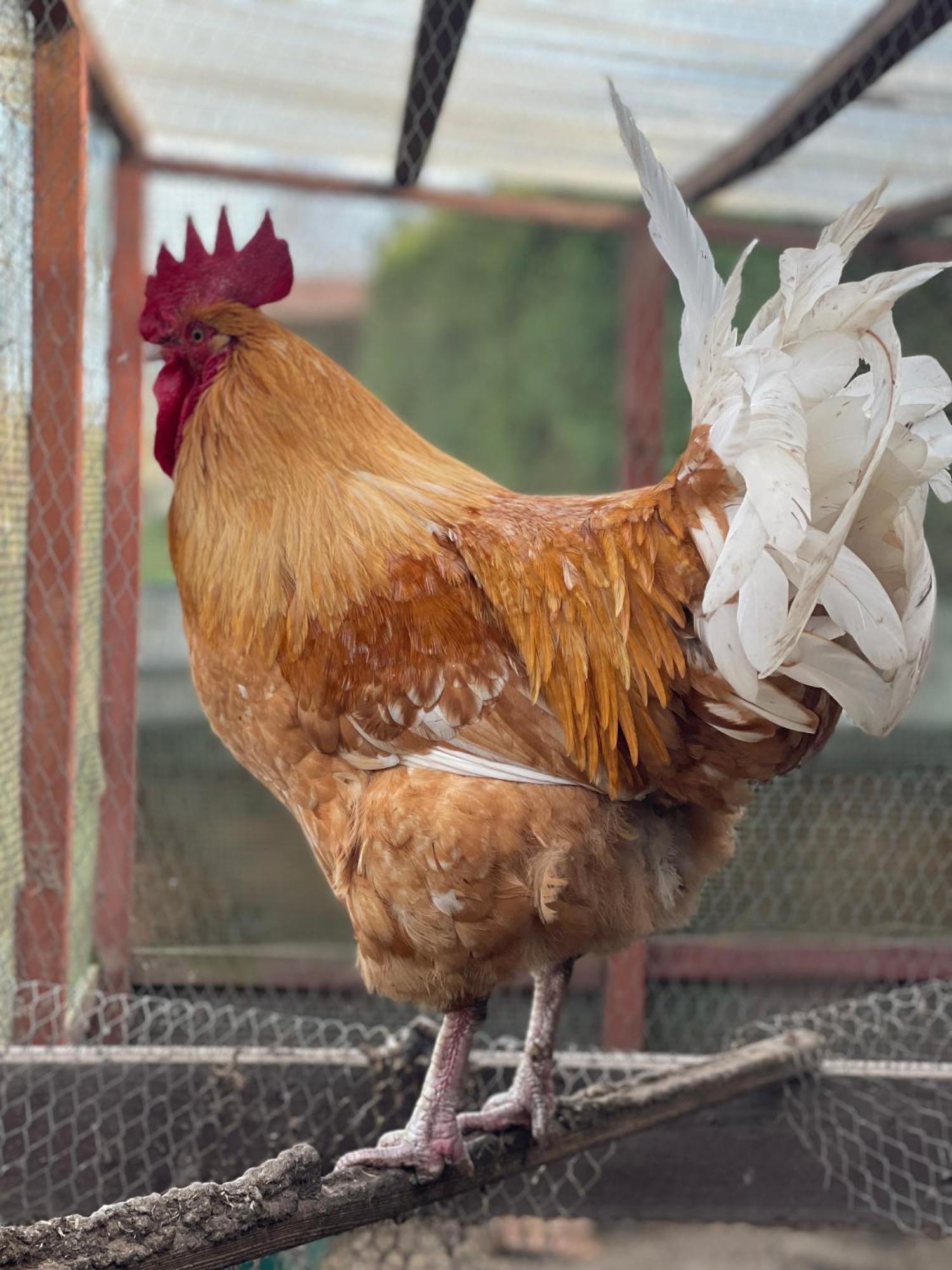 فيلا Agro Na Wapniarni Biala  المظهر الخارجي الصورة